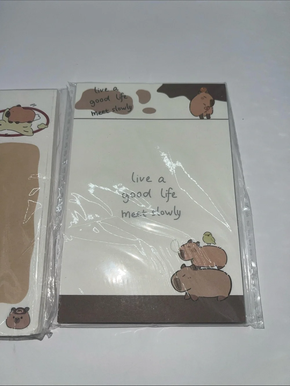 Capybara Sticky note set